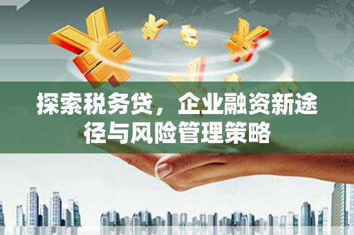 昆都仑探索税务贷，企业融资新途径与风险管理策略