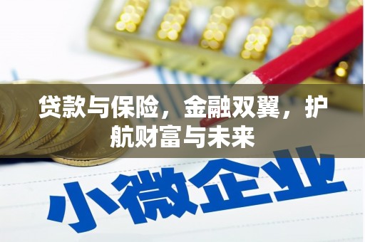 昆都仑贷款与保险，金融双翼，护航财富与未来
