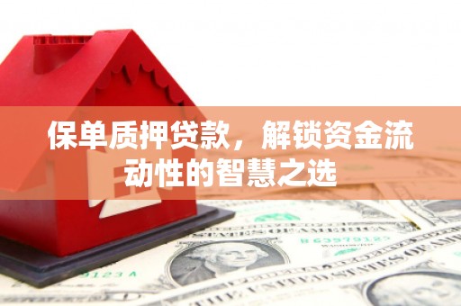 昆都仑保单质押贷款，解锁资金流动性的智慧之选