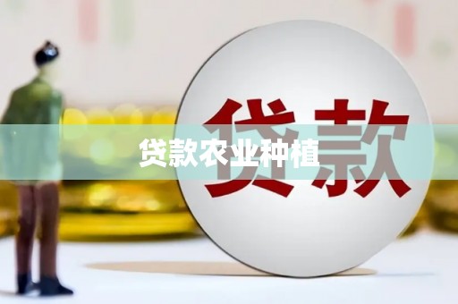 昆都仑贷款农业种植