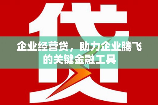 昆都仑企业经营贷，助力企业腾飞的关键金融工具