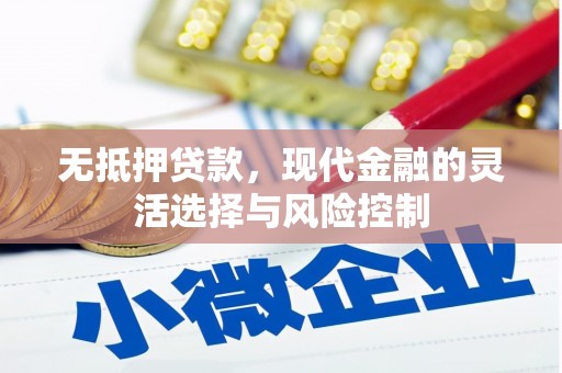 昆都仑无抵押贷款，现代金融的灵活选择与风险控制