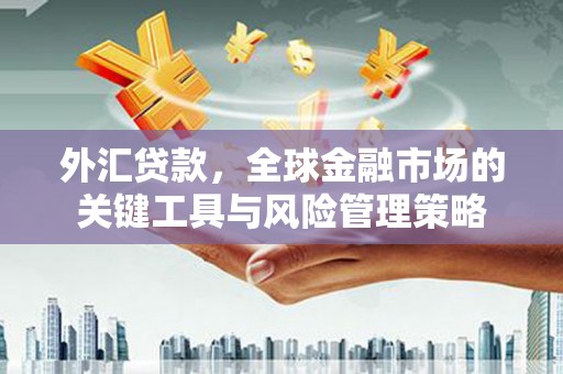 昆都仑外汇贷款，全球金融市场的关键工具与风险管理策略