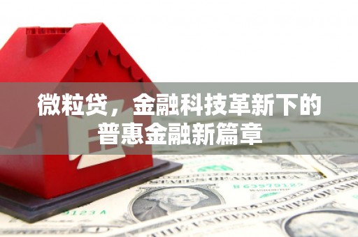 昆都仑微粒贷，金融科技革新下的普惠金融新篇章