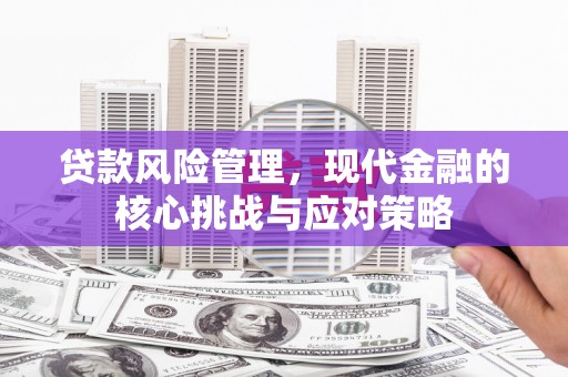 昆都仑贷款风险管理，现代金融的核心挑战与应对策略