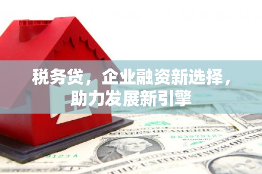 昆都仑税务贷，企业融资新选择，助力发展新引擎