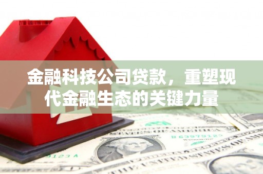 昆都仑金融科技公司贷款，重塑现代金融生态的关键力量