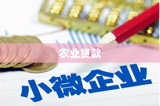 昆都仑农业贷款
