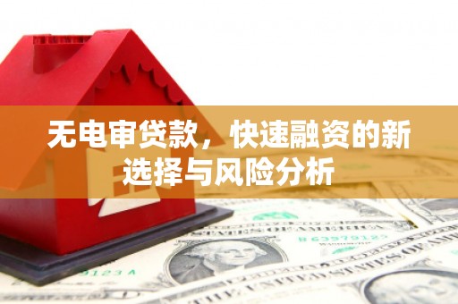 昆都仑无电审贷款，快速融资的新选择与风险分析