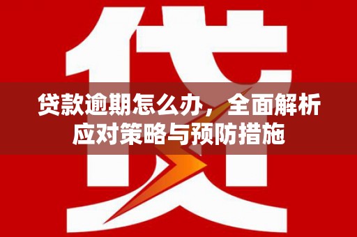昆都仑贷款逾期怎么办，全面解析应对策略与预防措施