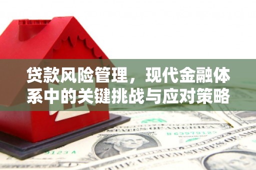 昆都仑贷款风险管理，现代金融体系中的关键挑战与应对策略