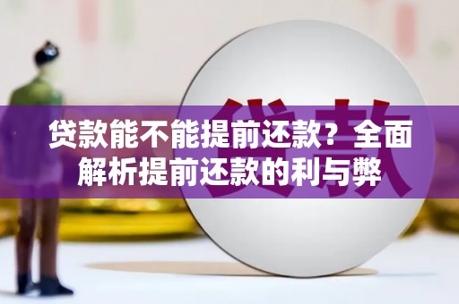 昆都仑贷款能不能提前还款？全面解析提前还款的利与弊
