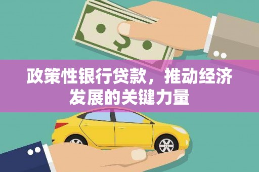 昆都仑政策性银行贷款，推动经济发展的关键力量
