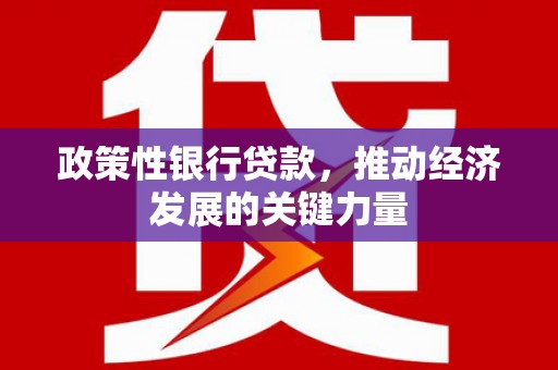 昆都仑政策性银行贷款，推动经济发展的关键力量