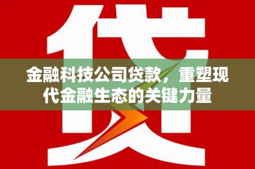 昆都仑金融科技公司贷款，重塑现代金融生态的关键力量