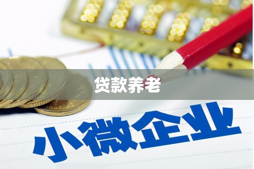 昆都仑贷款养老