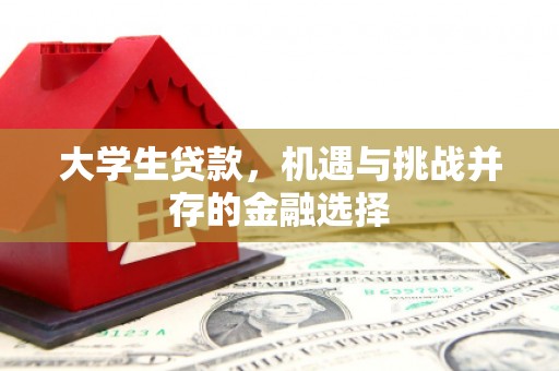 昆都仑大学生贷款，机遇与挑战并存的金融选择