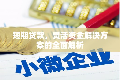 昆都仑短期贷款，灵活资金解决方案的全面解析