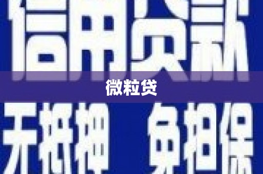 昆都仑微粒贷