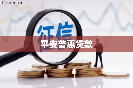 昆都仑平安普惠贷款