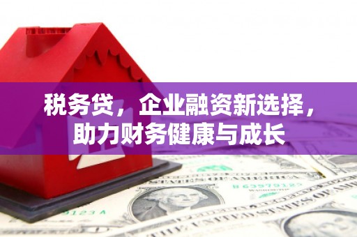 昆都仑税务贷，企业融资新选择，助力财务健康与成长